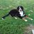 Heather Thibeault's profile image