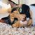 Nicole Scaglione Deputy's profile image