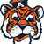 Lesley Holcomb Land's profile image