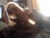 Linda M.'s profile image