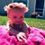 Roseann Cecola's profile image