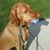 Jeff Weber's profile image