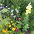 Betsy Shillinglaw's profile image