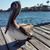 Kathi Arnold's profile image