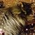 Melanie Willey's profile image