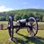 Keith G. Cromer's profile image