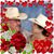 Mary Ann Freitas's profile image