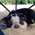 Thalassa Thal's profile image