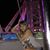 Lilly Portillo's profile image