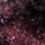 Wendy Laing's profile image