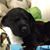 Kelly Gellasch's profile image