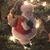 Denise Murphy Freitag's profile image