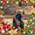 Jeanne Jones Rockwell's profile image