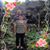 Rose Shahan's profile image