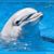 Tomasina Rey's profile image