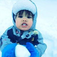 Marianne J. Gignac's profile image