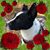 Vasiliki Tsolakis's profile image