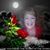 Helen Griffin Holton's profile image