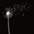 Trista Walker's profile image