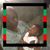 E Daht Currie's profile image
