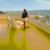 Liz N Tony Medrano's profile image