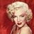 Terri Peterson's profile image