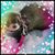 Anna Tirpak Walker's profile image
