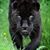 Linda Marie Landow's profile image