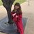 Krista Ashley Bibby's profile image