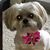 Kimberly Kosiba Miller's profile image