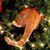 Diann Eardley Holm's profile image