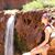 Abby Sattley-Lyons's profile image