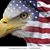 Kimberly Curtiss's profile image