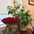 Liz Steigman's profile image