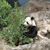 Grace Hoffmann's profile image