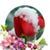 Sandra Schissler Hixson's profile image