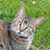 Amanda Kay Kercheval's profile image