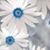Terri Jacobson's profile image
