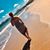 Sherri Hare's profile image