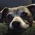 Sue Ross's profile image