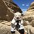 Chiquitita Bear's profile image