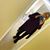 Kisha Gales's profile image