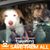 Melinda Vaughn-Bisch's profile image