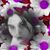 Jennifer Lynn Fair's profile image