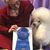 Denise Agre-Gill's profile image