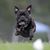 Linda Ringle's profile image