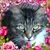 Sandi Spurgeon's profile image