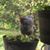Leslie Hansen Vigor's profile image