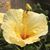 Peggysue Sutherland's profile image