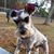 Penny Elder Grant's profile image